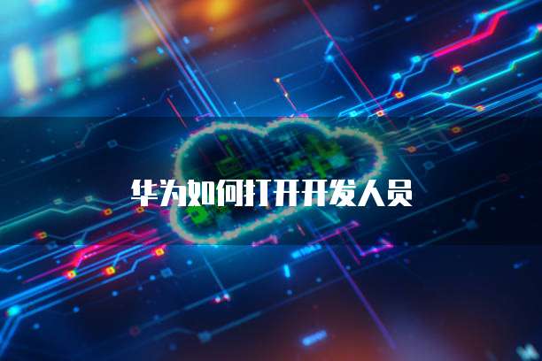 华为如何打开开发人员