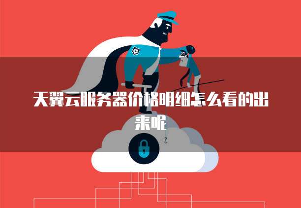 天翼云服务器价格明细怎么看的出来呢