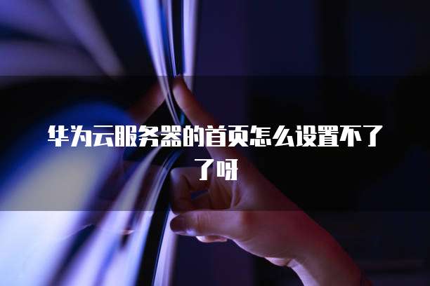 华为云服务器的首页怎么设置不了了呀