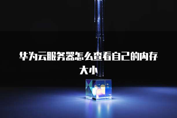 华为云服务器怎么查看自己的内存大小