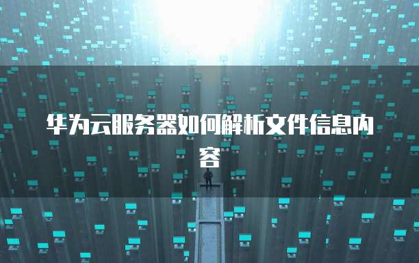 华为云服务器如何解析文件信息内容