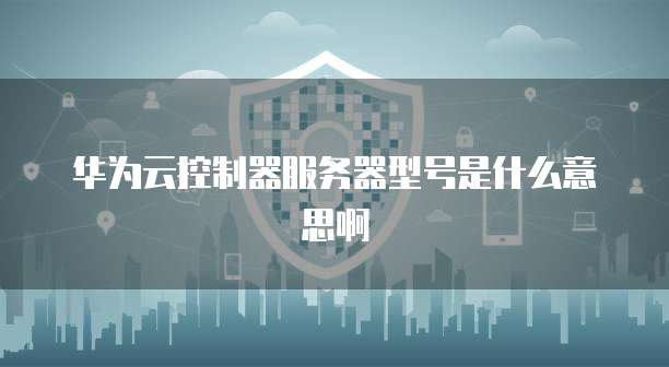 华为云控制器服务器型号是什么意思啊