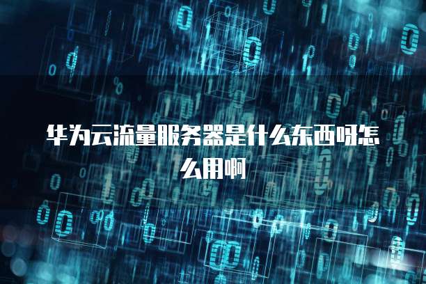 华为云流量服务器是什么东西呀怎么用啊