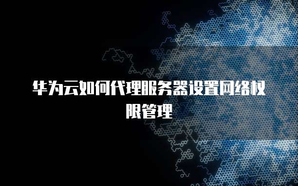 华为云如何代理服务器设置网络权限管理