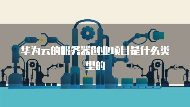 华为云的服务器创业项目是什么类型的