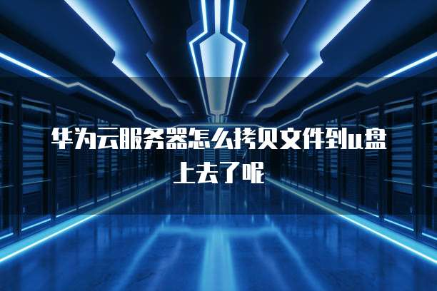 华为云服务器怎么拷贝文件到u盘上去了呢