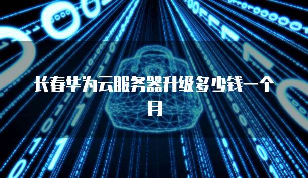 长春华为云服务器升级多少钱一个月
