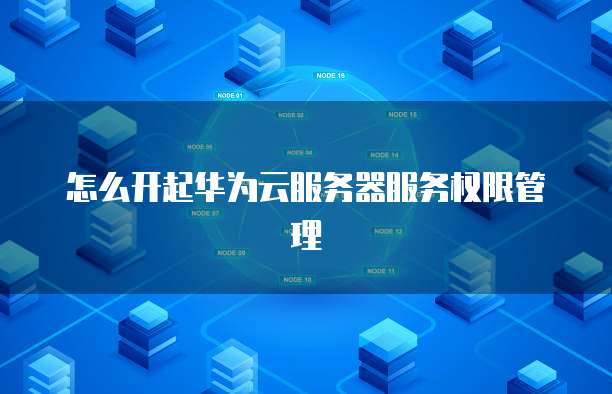 怎么开起华为云服务器服务权限管理