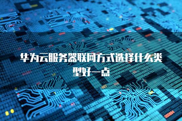 华为云服务器联网方式选择什么类型好一点