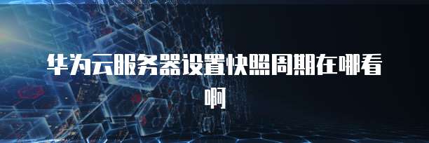 华为云服务器设置快照周期在哪看啊