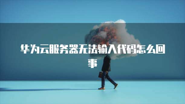 华为云服务器无法输入代码怎么回事