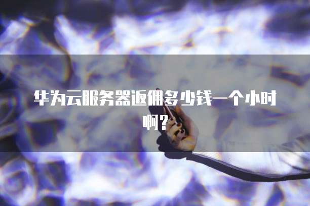 华为云服务器返佣多少钱一个小时啊？