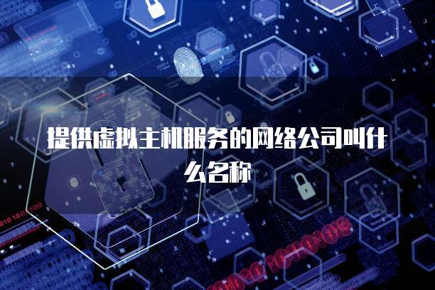 提供虚拟主机服务的网络公司叫什么名称
