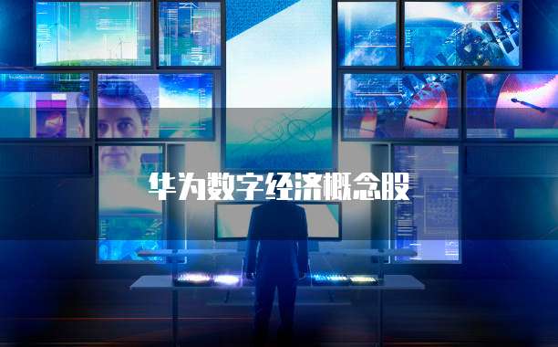 华为数字经济概念股