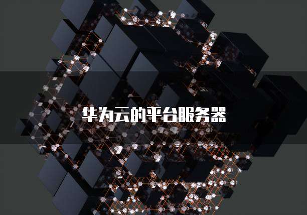 华为云的平台服务器