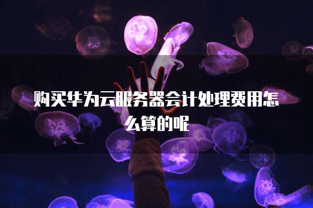 购买华为云服务器会计处理费用怎么算的呢