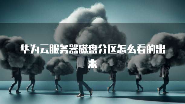华为云服务器磁盘分区怎么看的出来