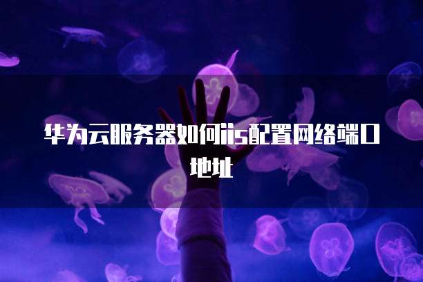 华为云服务器如何iis配置网络端口地址