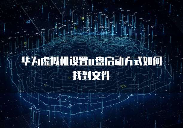 华为虚拟机设置u盘启动方式如何找到文件